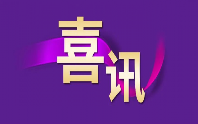 勁升16位！榮程集團(tuán)躍居中國企業(yè)500強第240位