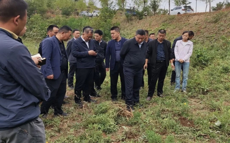 天水市政協(xié)副主席、清水縣委書記馬越垠到“榮程百草莊園”中藥材試驗基地調研中草藥產業(yè)發(fā)展工作