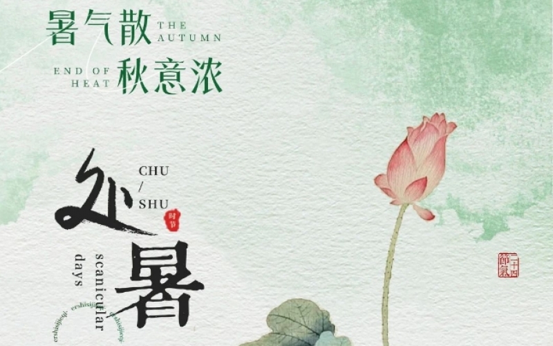 二十四節(jié)氣 X 非遺體驗(yàn) - 處暑織秋色，扎染融自然